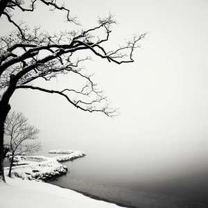 他不止一次骗了你（热播）