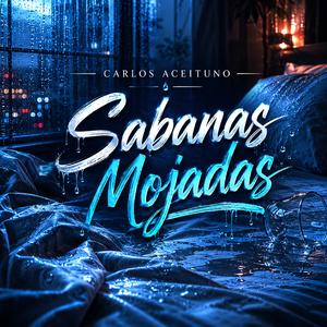 Sabanas Mojadas