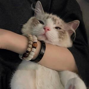 1134138229187183229188188232161151_4 (1)