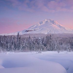 想见你想见你想见你