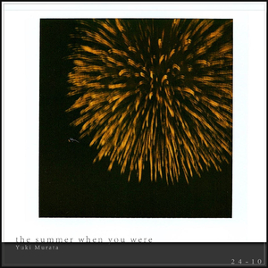 the summer when you were