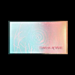 ENDLESS ROMANCE（纯歌版）——《be狂魔求生系统》双视角同人曲