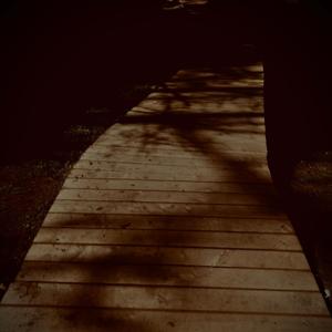 Bussy Day and Before