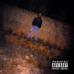 1031 Freestyle