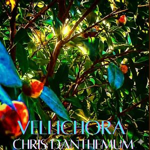 Vellichora (Radio Edit)