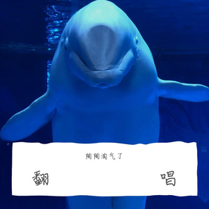 知足 五月天 翻唱