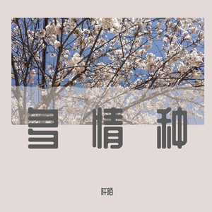 多情种（青春版）