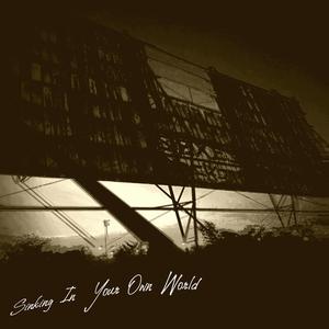 Sinking In Your Own World