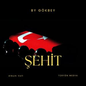 Vurdular / Şehit