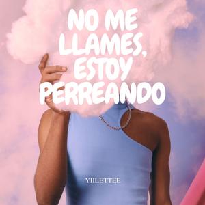 NO ME LLAMES, ESTOY PERREANDO