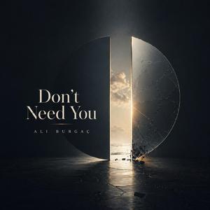 Don't Need You