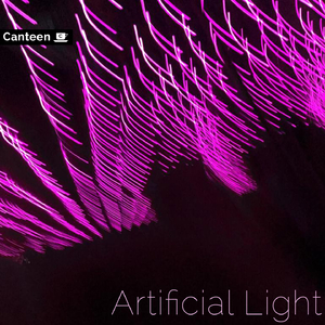 Artificial Light