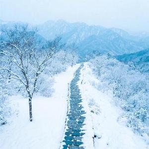 江南落一场雪 (Cover 礼越)