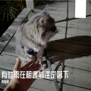 有些雨在相遇前注定落下