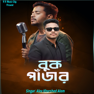 বুক পাঁজর