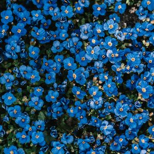 小雨同学（纯享版）