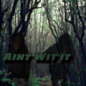 Aint Wit It (feat. Notnoslimeefr)