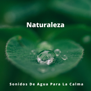 Agua Helada