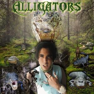Alligators
