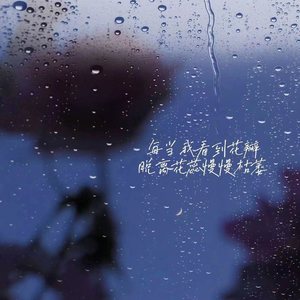 每当我看到花瓣脱离花蕊慢慢枯萎