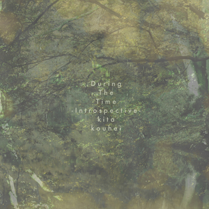 During The Time (Introspective)