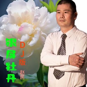 银屏牡丹-DJ版
