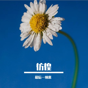 希望你下次流泪是因为太幸福 伴奏