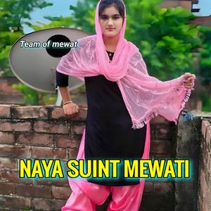 NAYA SUINT MEWATI