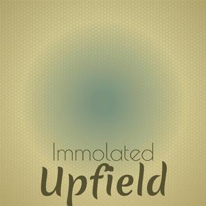 Invalid Denunciation