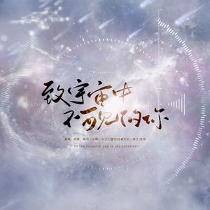 致宇宙中不可见的你