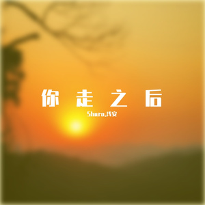 你走之后