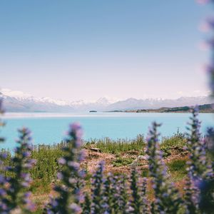 捡起丢掉的回忆（DJ至尊旋律）