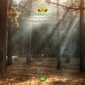 A Place for Reflection