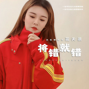 将错就错 (DJheap九天版)