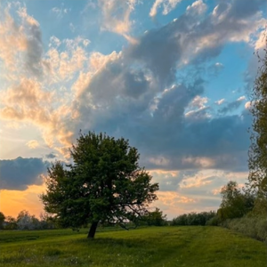 glo x brass type beat