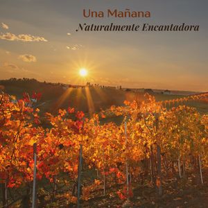 Fomento Del Ejercicio