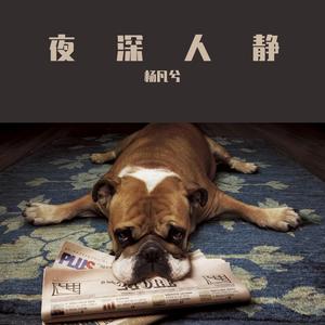 有没有那么一首歌