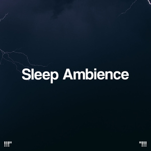 호우 잠