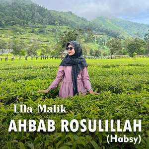 Ahbab Rosulillah (Habsy)