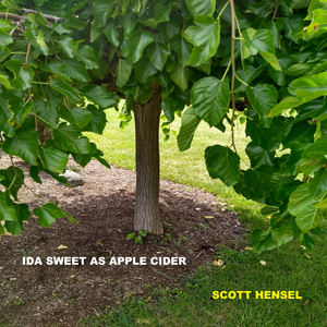 Ida Sweet As Apple Cider
