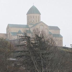 ქრიზანთემები 1