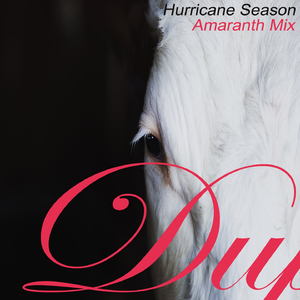 Hurricane Season (Amaranth Mix)