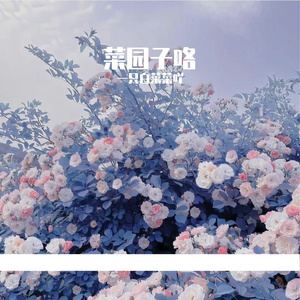 好多愿望分你一个