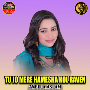 Tu Jo Mere Hamesha Kol Raven (1)