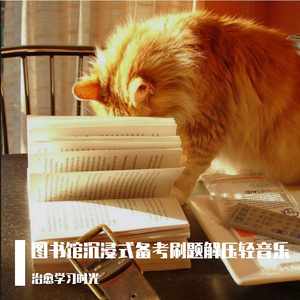 图书馆沉浸备考放松轻音乐