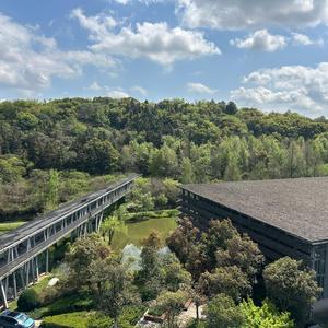 Sun After Rain part2