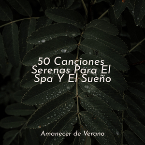 Armonía Sagrada