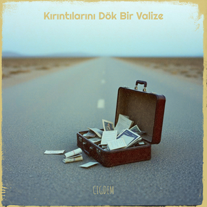 Kırıntılarını Dök Bir Valize