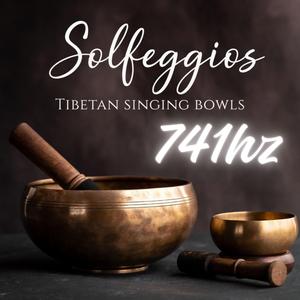 Solfeggio para eliminar toxinas y radiaciones electromagneticas