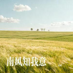 南风知我意